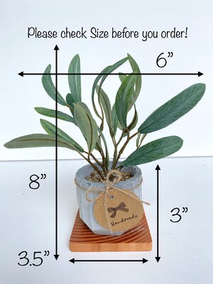 Artificial Mini Olive Tree in Handmade Pot with Wood Coaster - Small Faux Olive Tree - image8